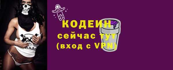 молекула духа Богородск