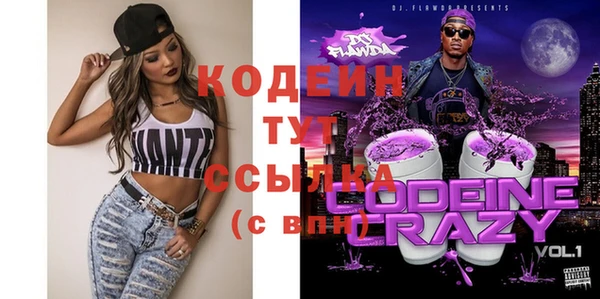 дживик Бронницы