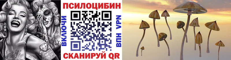 Псилоцибиновые грибы Psilocybe  Новоузенск 